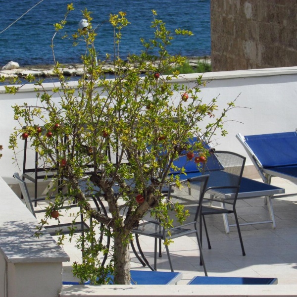 B&B La Muraglia image 19